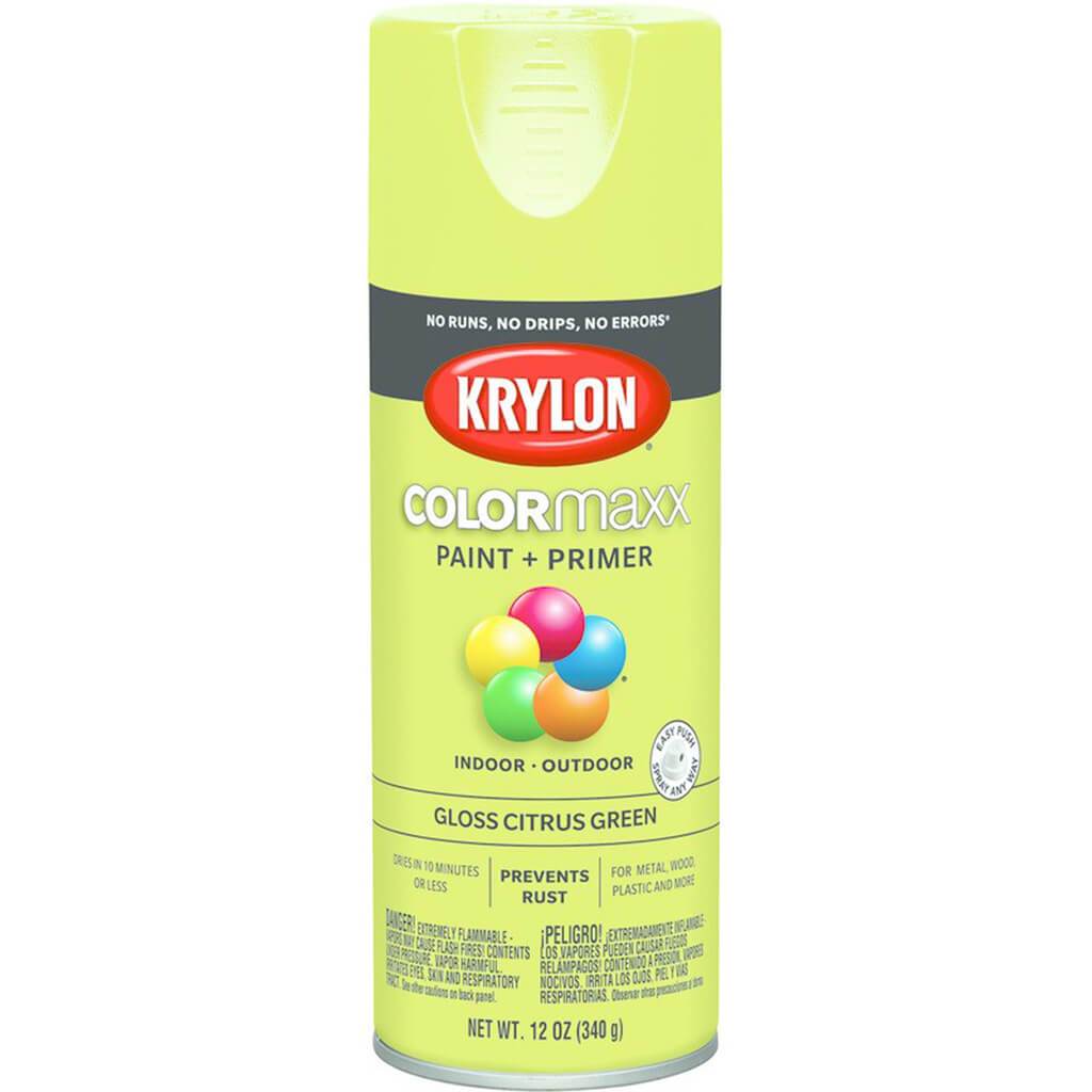 Spray Paint Gloss 12oz
