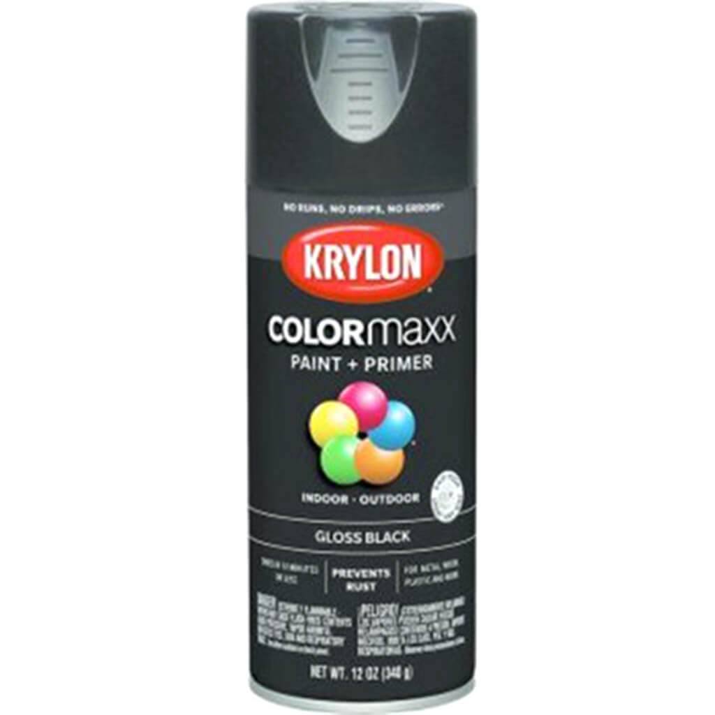 Spray Paint Gloss 12oz