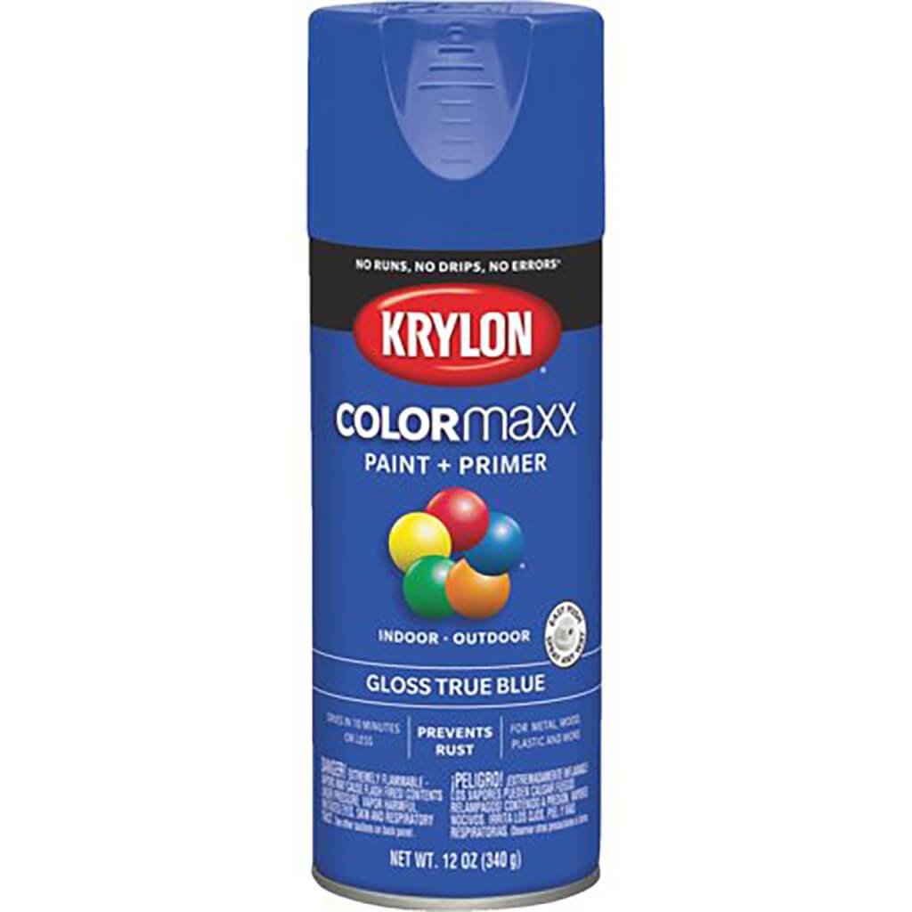 Spray Paint Gloss 12oz
