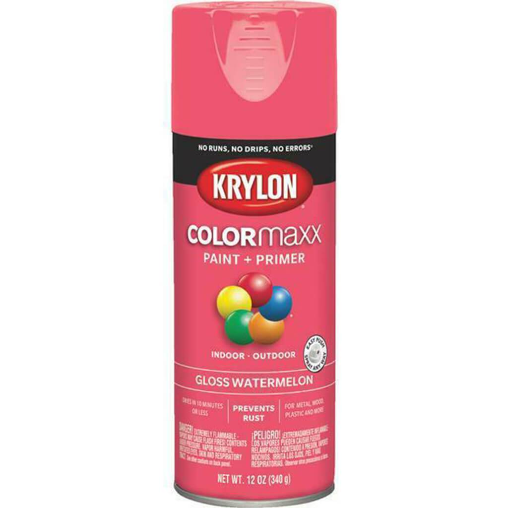 Spray Paint Gloss 12oz
