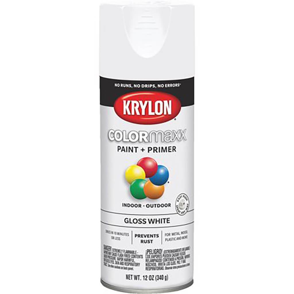 Spray Paint Gloss 12oz