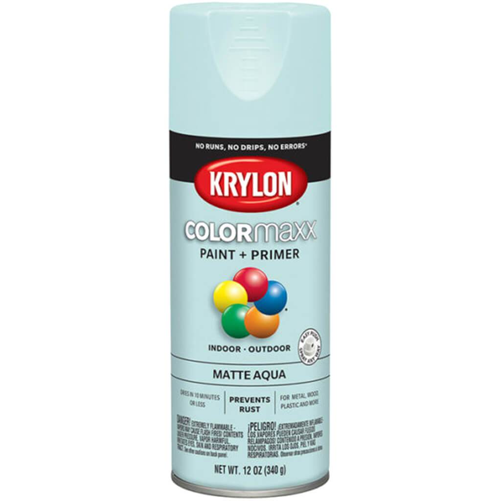 Spray Paint Matte 12oz