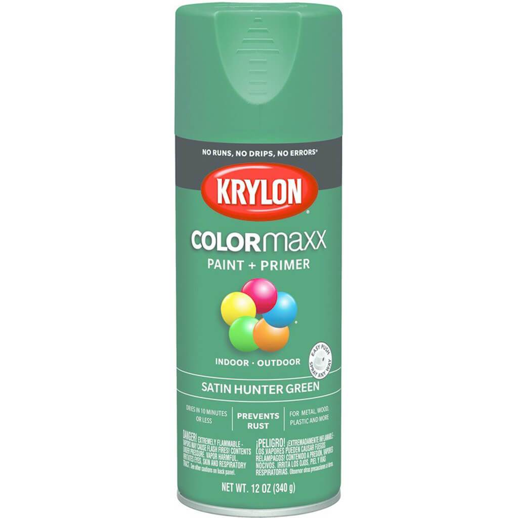 Spray Paint Satin 12oz