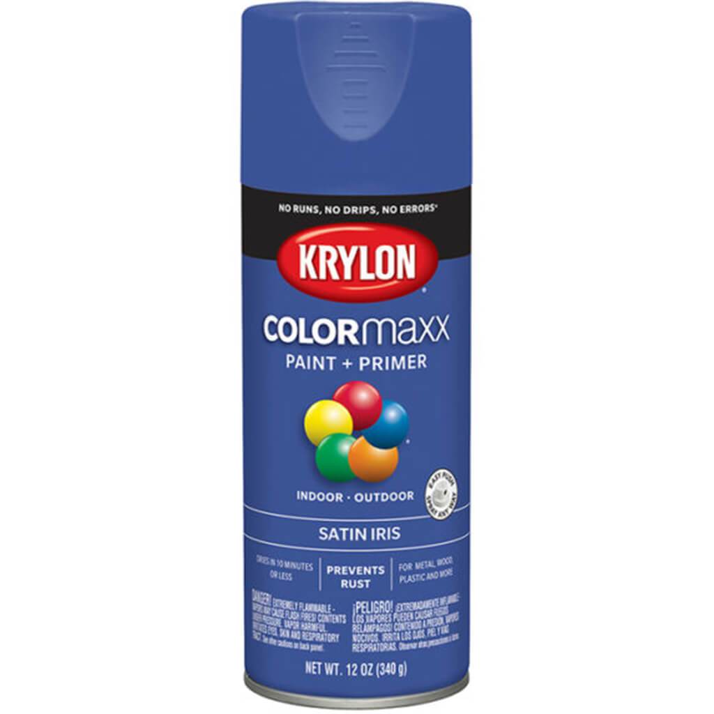 Spray Paint Satin 12oz