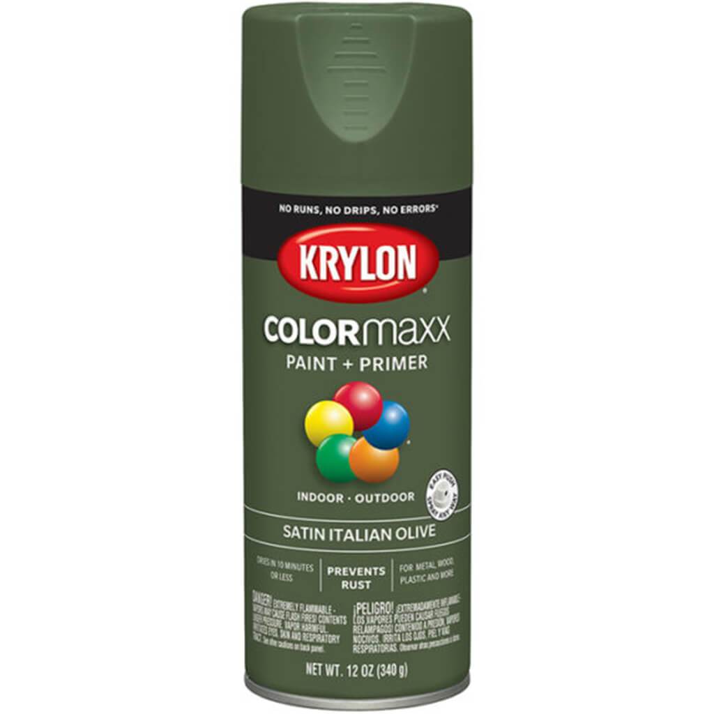 Spray Paint Satin 12oz