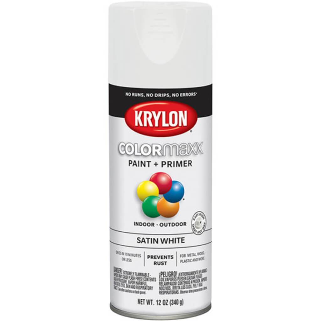 Spray Paint Satin 12oz