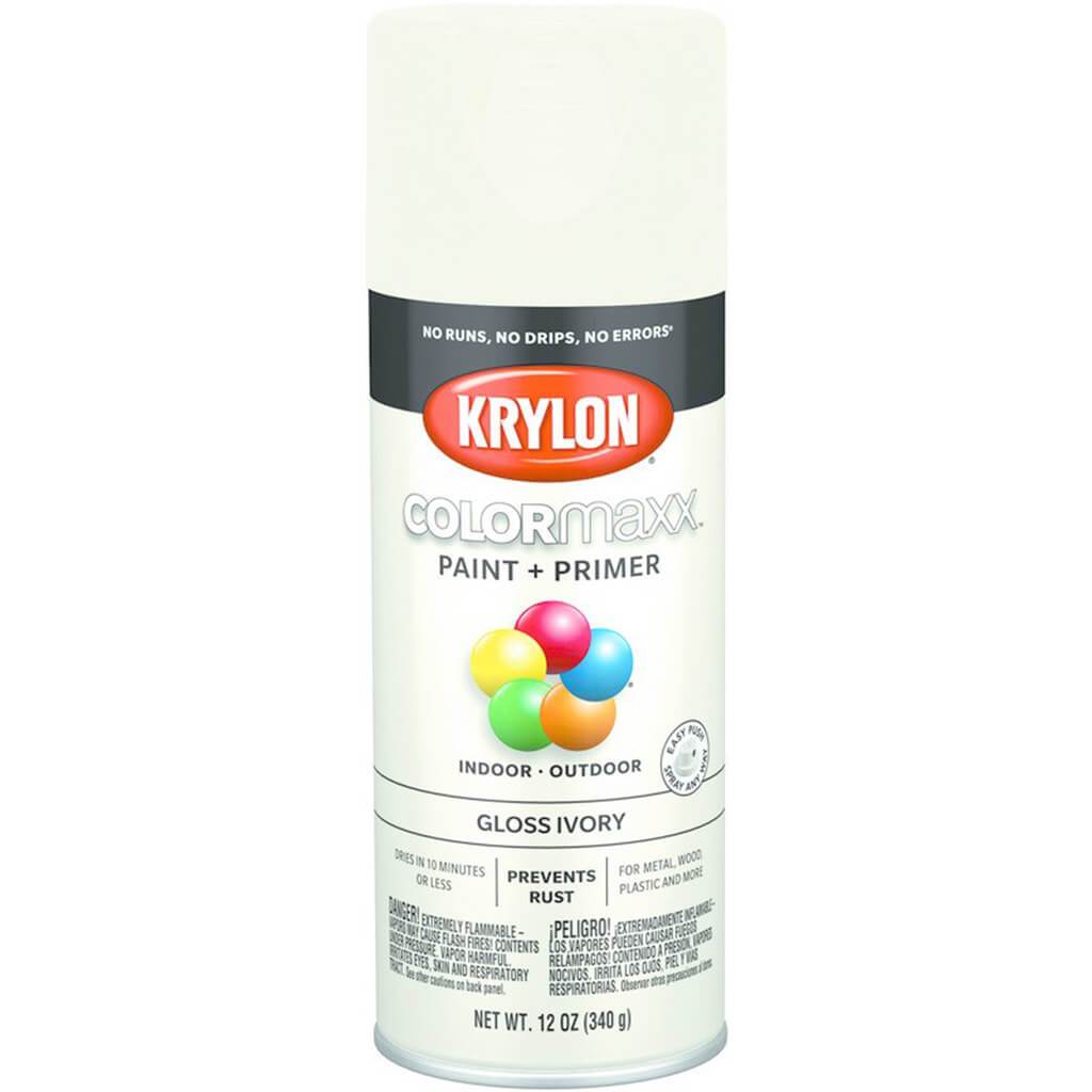 Spray Paint Gloss 12oz