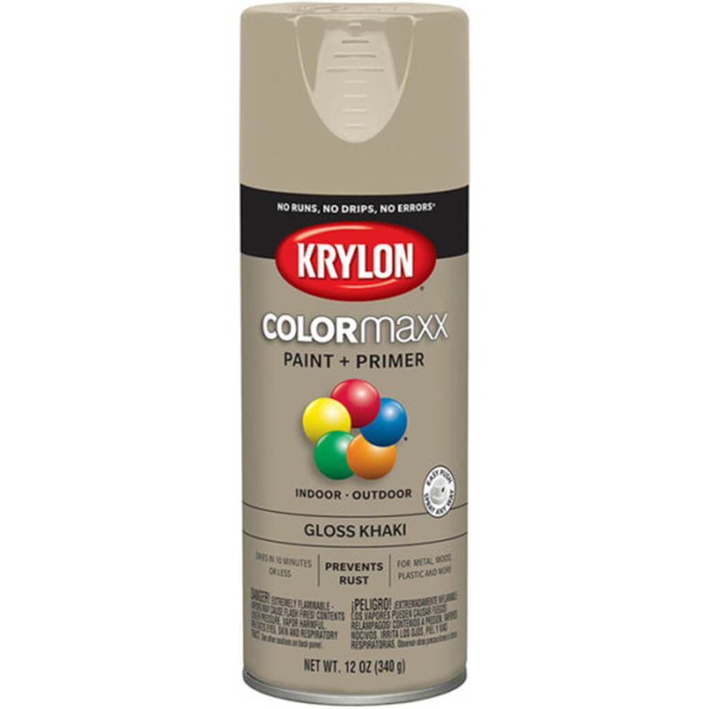 Spray Paint Gloss 12oz