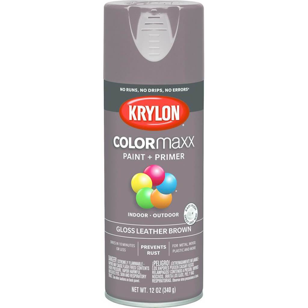 Spray Paint Gloss 12oz