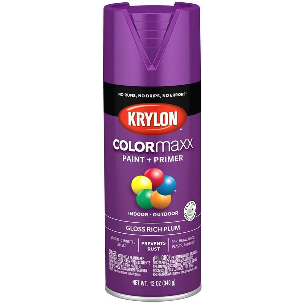 Spray Paint Gloss 12oz Rich Plum