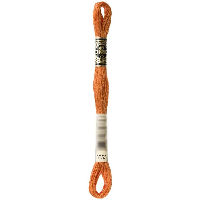 Dmc Floss Dark Autumn Gold Gold 