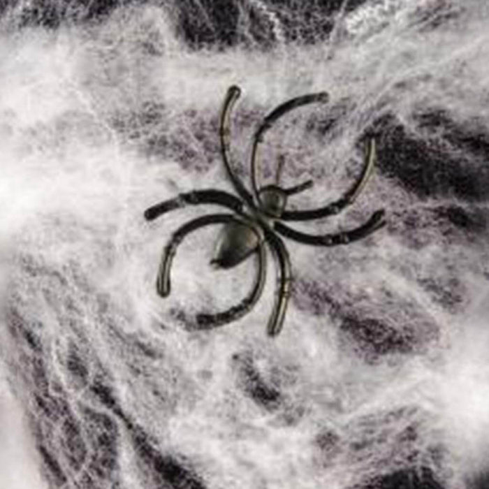 Spider Webs & Spiders