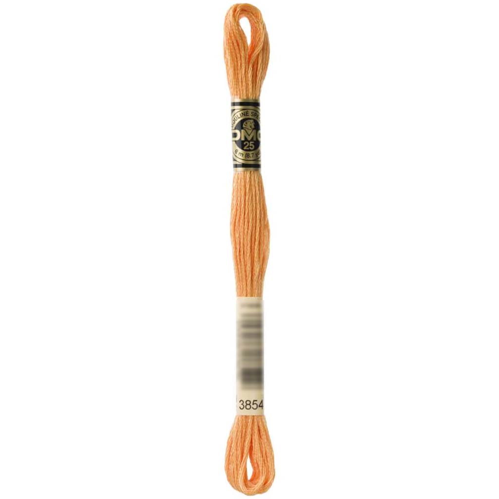 Dmc Floss Medium Autumn Gold Gold 