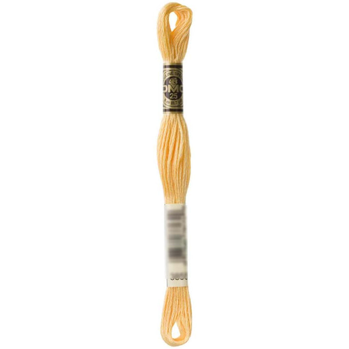 Dmc Floss Light Autumn Gold Gold 