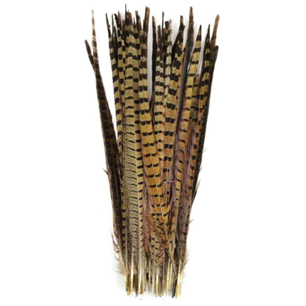 Ringneck Pheasant Feathers 16-18in, 50pcs