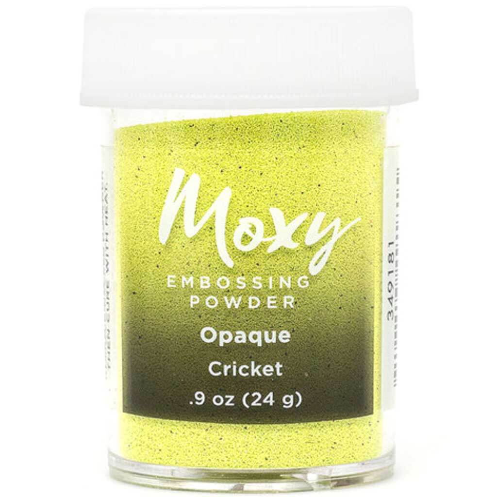 Embossing Powder Cricket