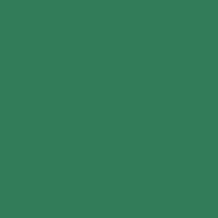 Cardstock Bazzill 12in x 12in Evergreen | Premium Green Cardstock