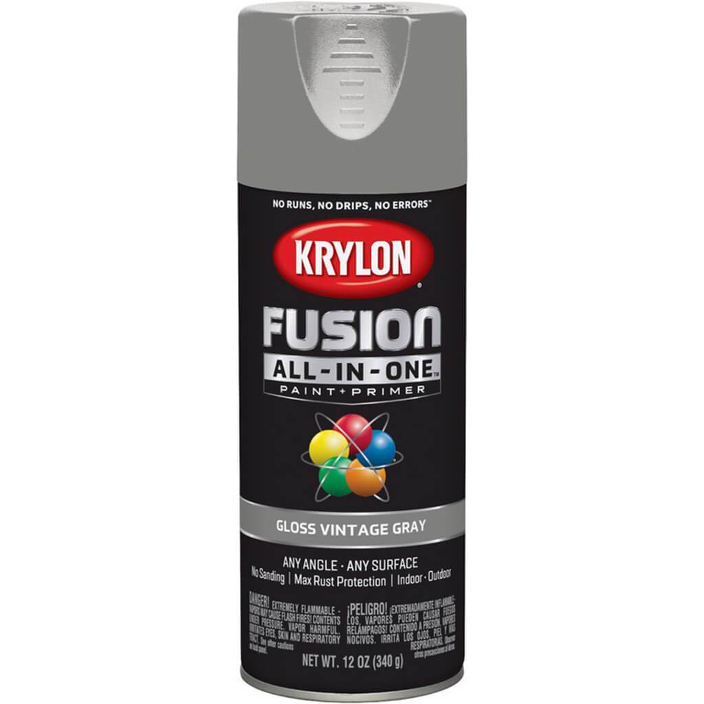 Fusion Spray Paint Gloss 12oz