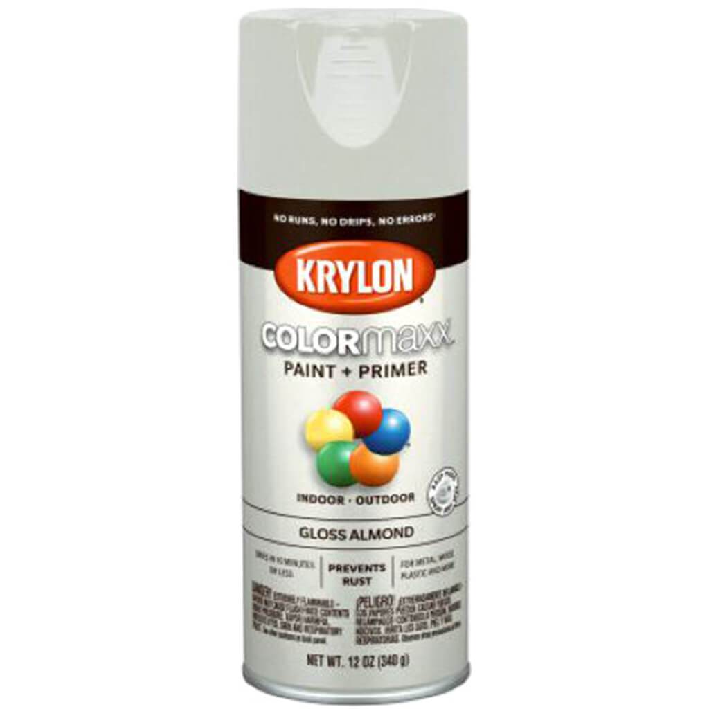 Spray Paint Gloss 12oz