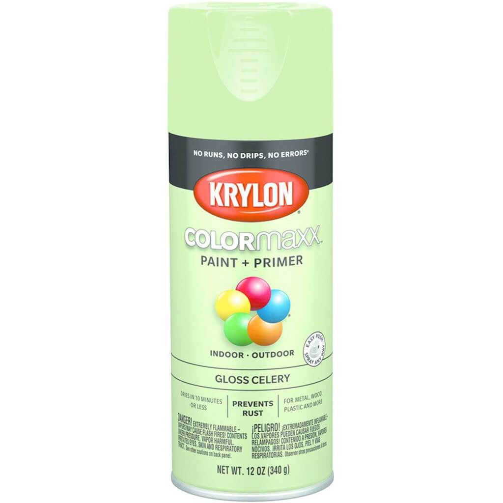 Spray Paint Gloss 12oz