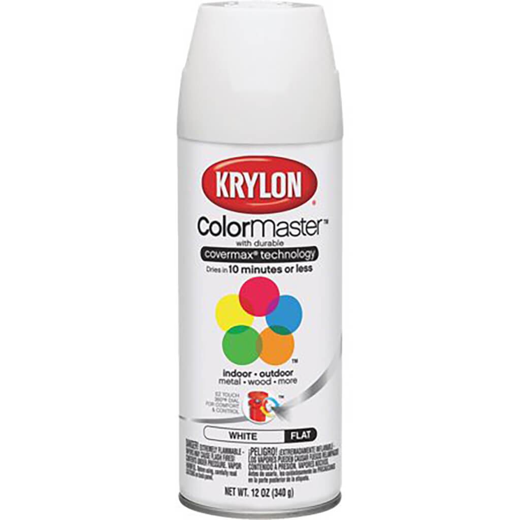 Spray Paint Flat 12oz