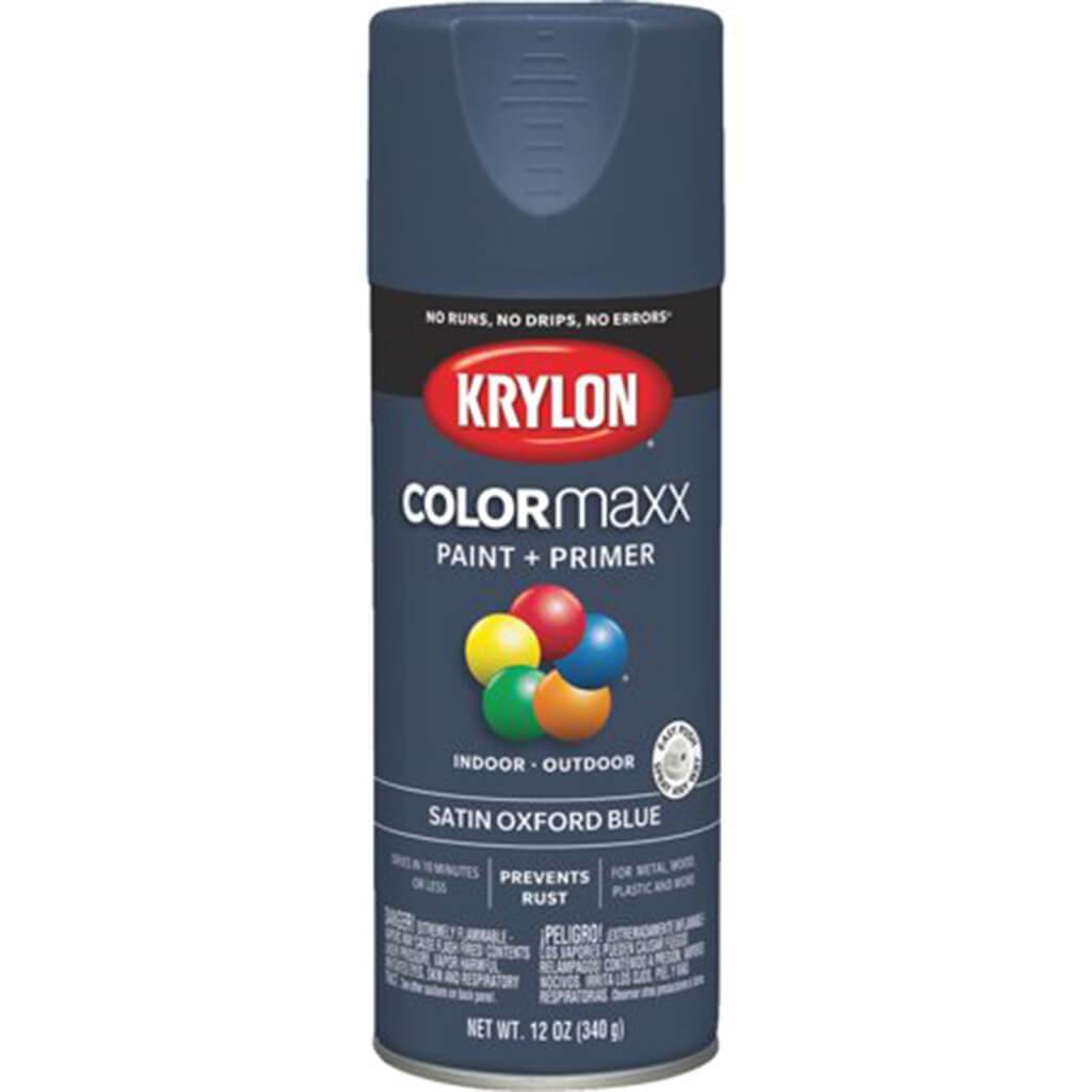 Spray Paint Satin 12oz