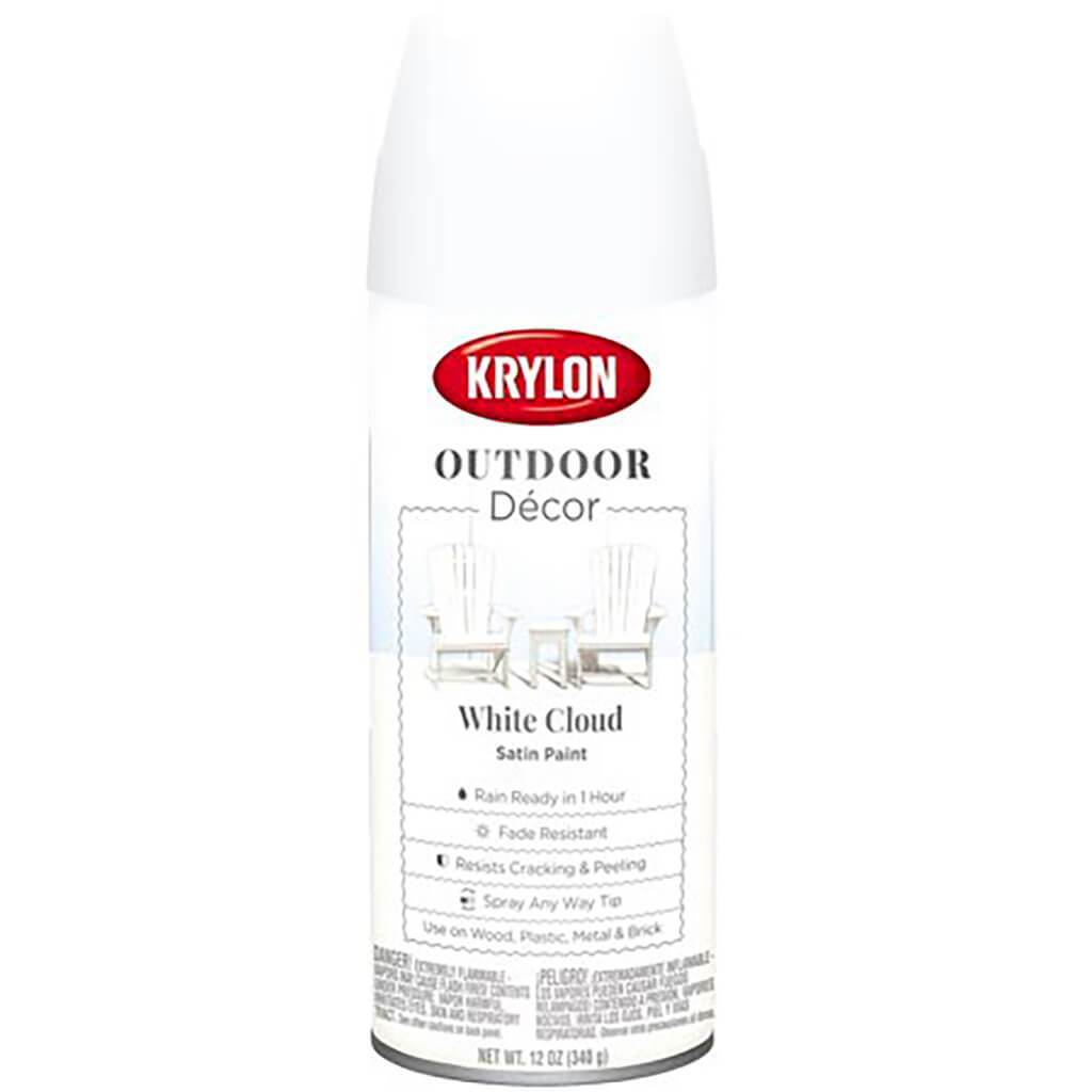 Outdoor Decor Spray Paint Satin  12oz