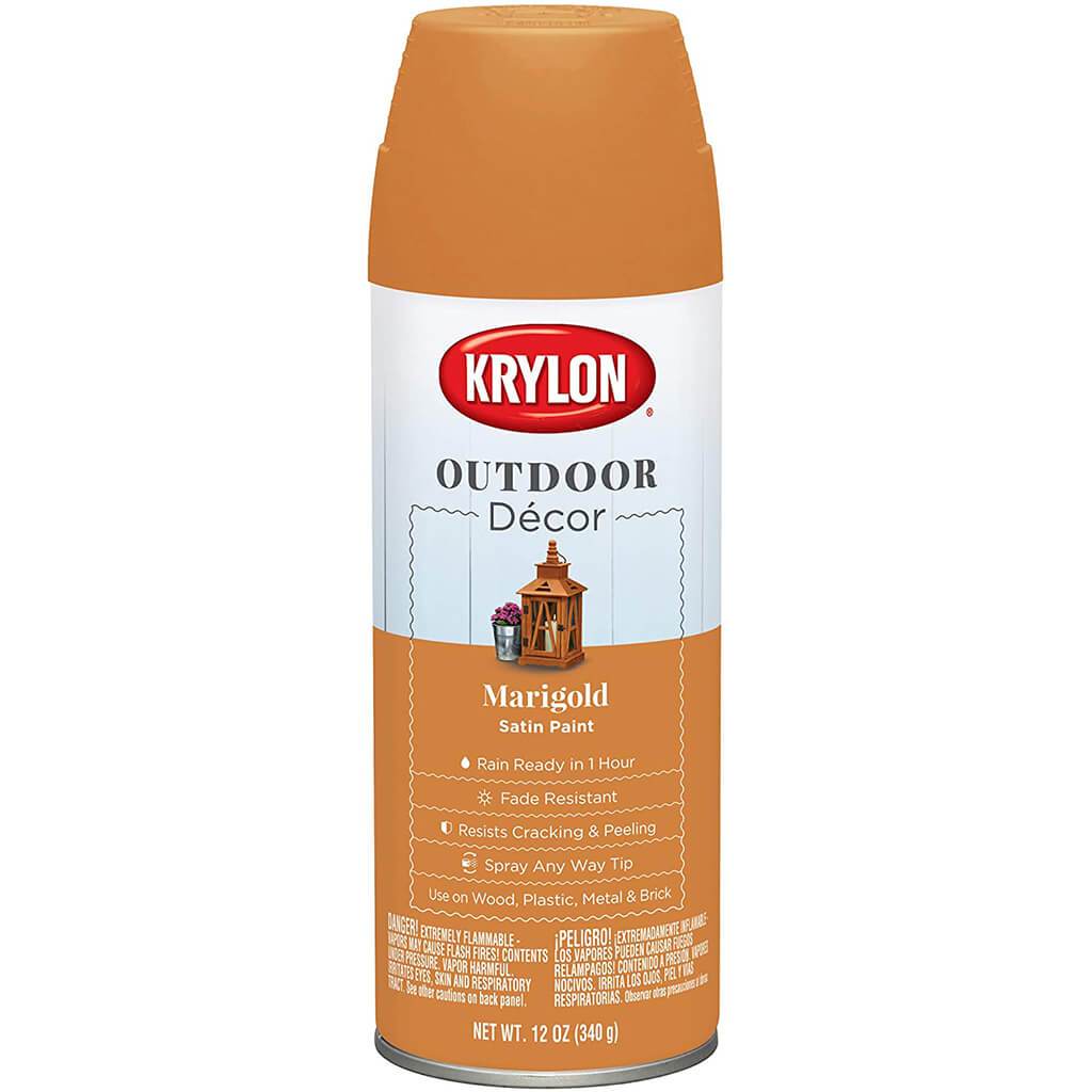 Outdoor Decor Spray Paint Satin  12oz