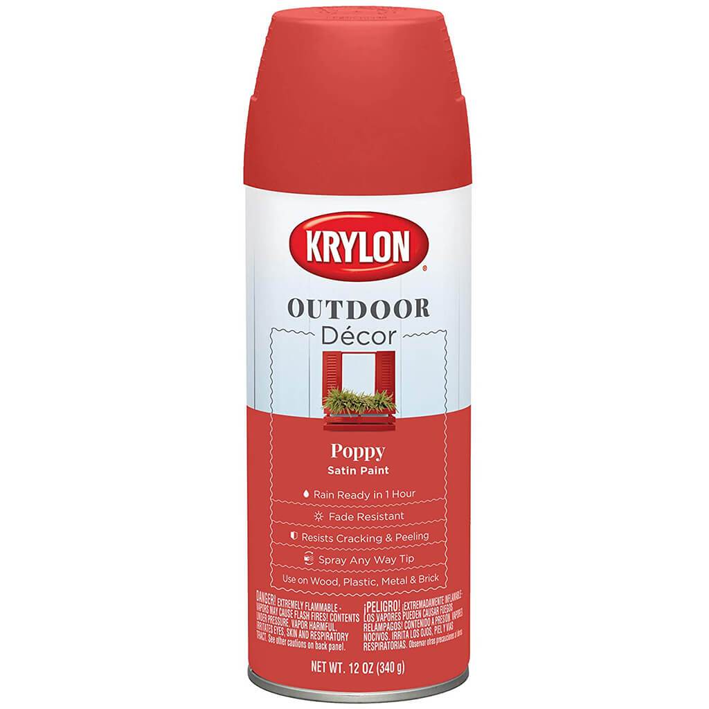 Outdoor Decor Spray Paint Satin  12oz