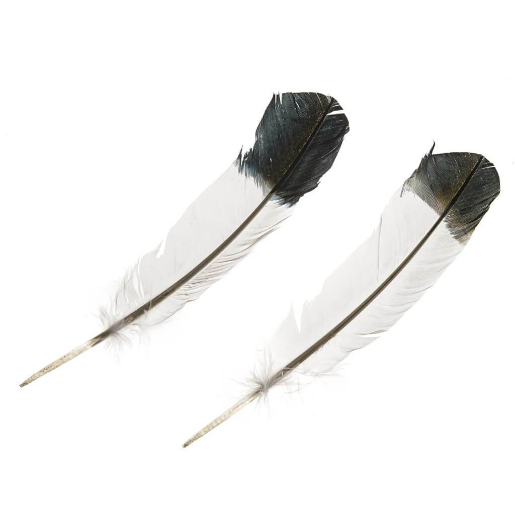 Imitation Eagle Turkey Quills: 11 Inches