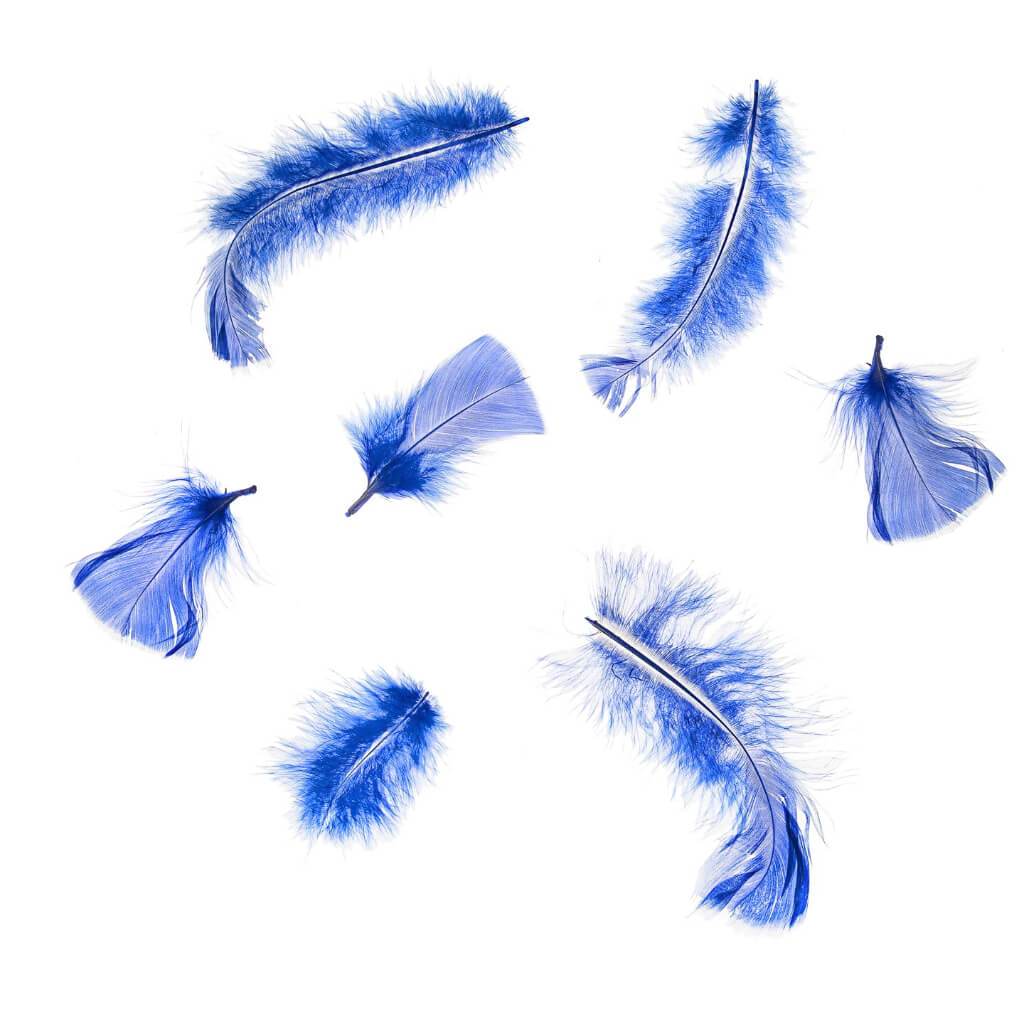 Blue Turkey Flat Feathers: 2 To 5 Inches, 11.9 Grams