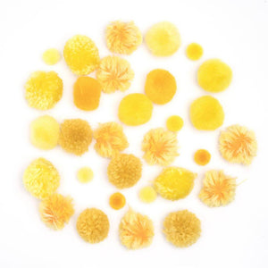 Pom Poms : 0.5 to 1 Inch, 30 Pack