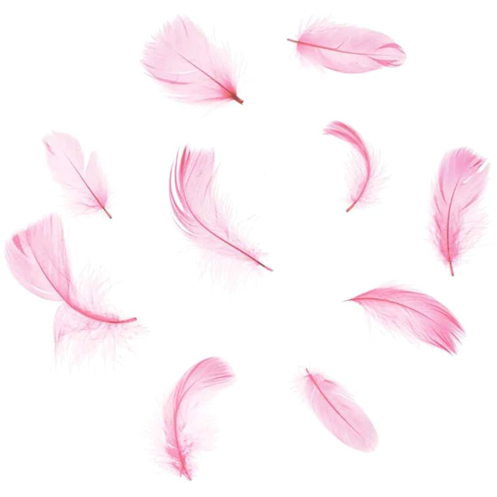 Pink Goose Feathers: 3 To 5 Inches, 7 Grams