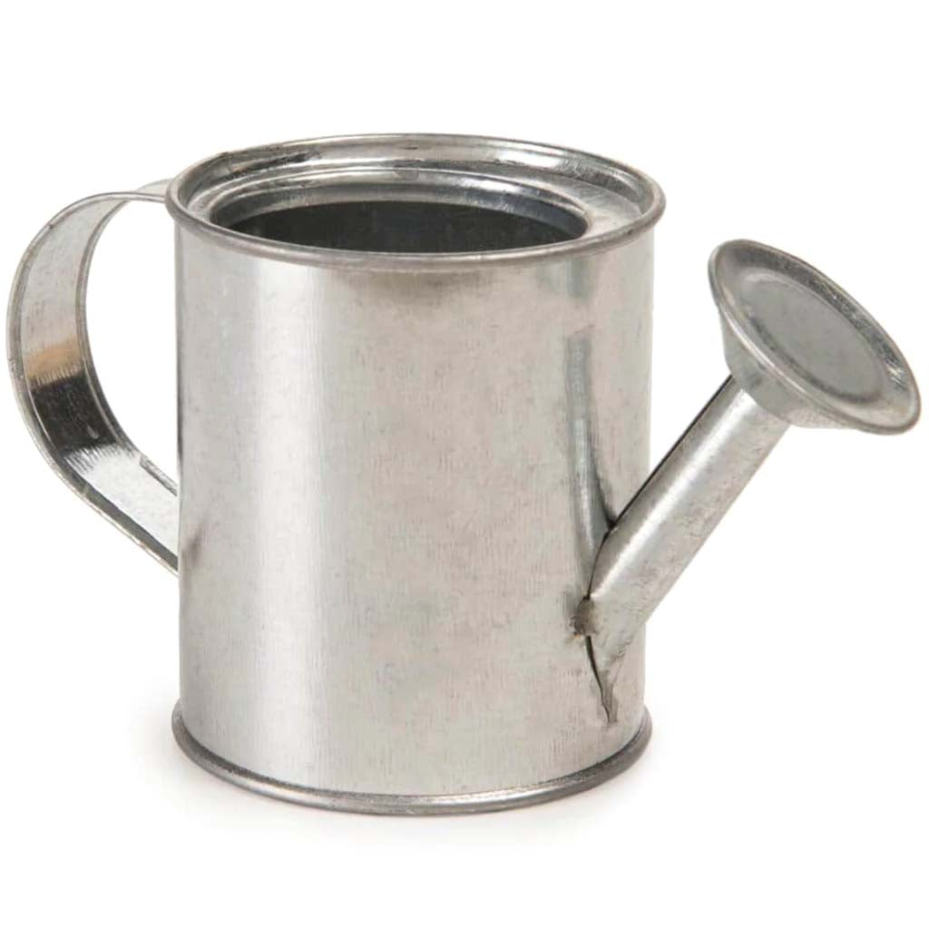 Watering Can 2.25in