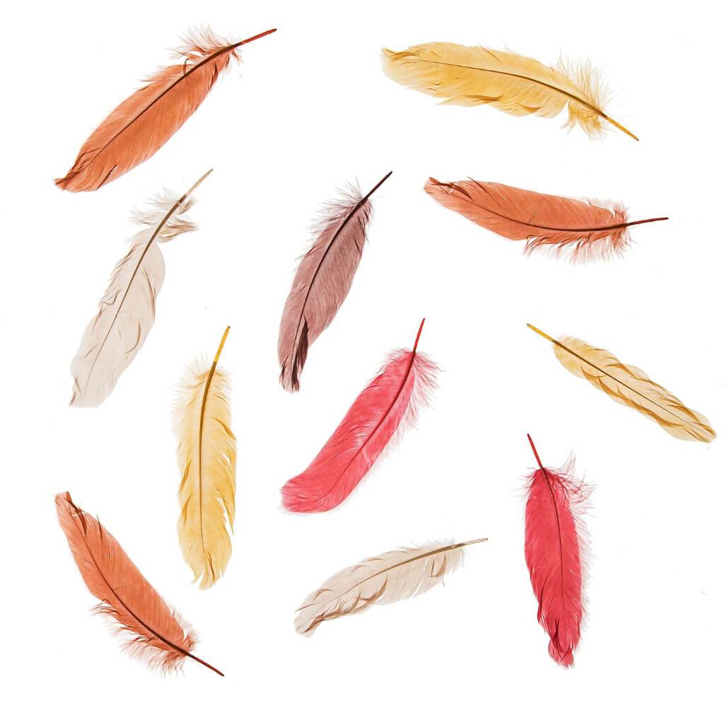 Fall Colors Goose Feathers: 5 To 6 Inches, 5.9 Grams