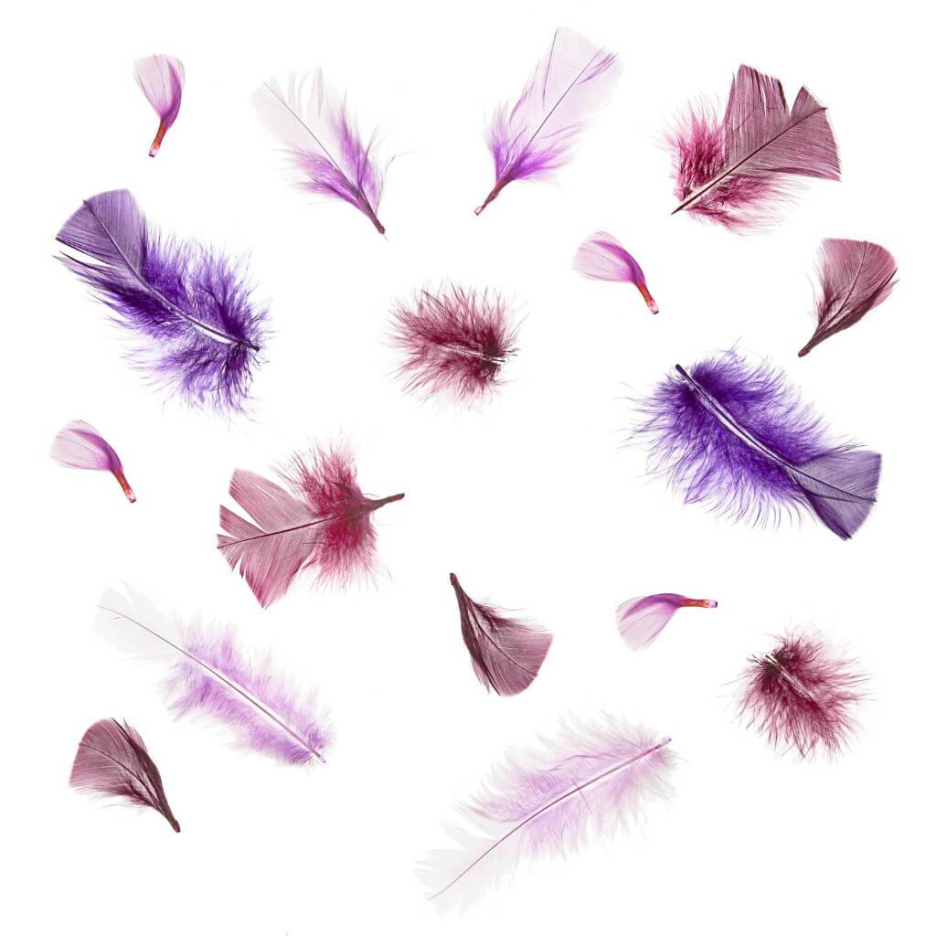 Purple Turkey Flat Feathers: 2 To 5 Inches, 11.9 Grams