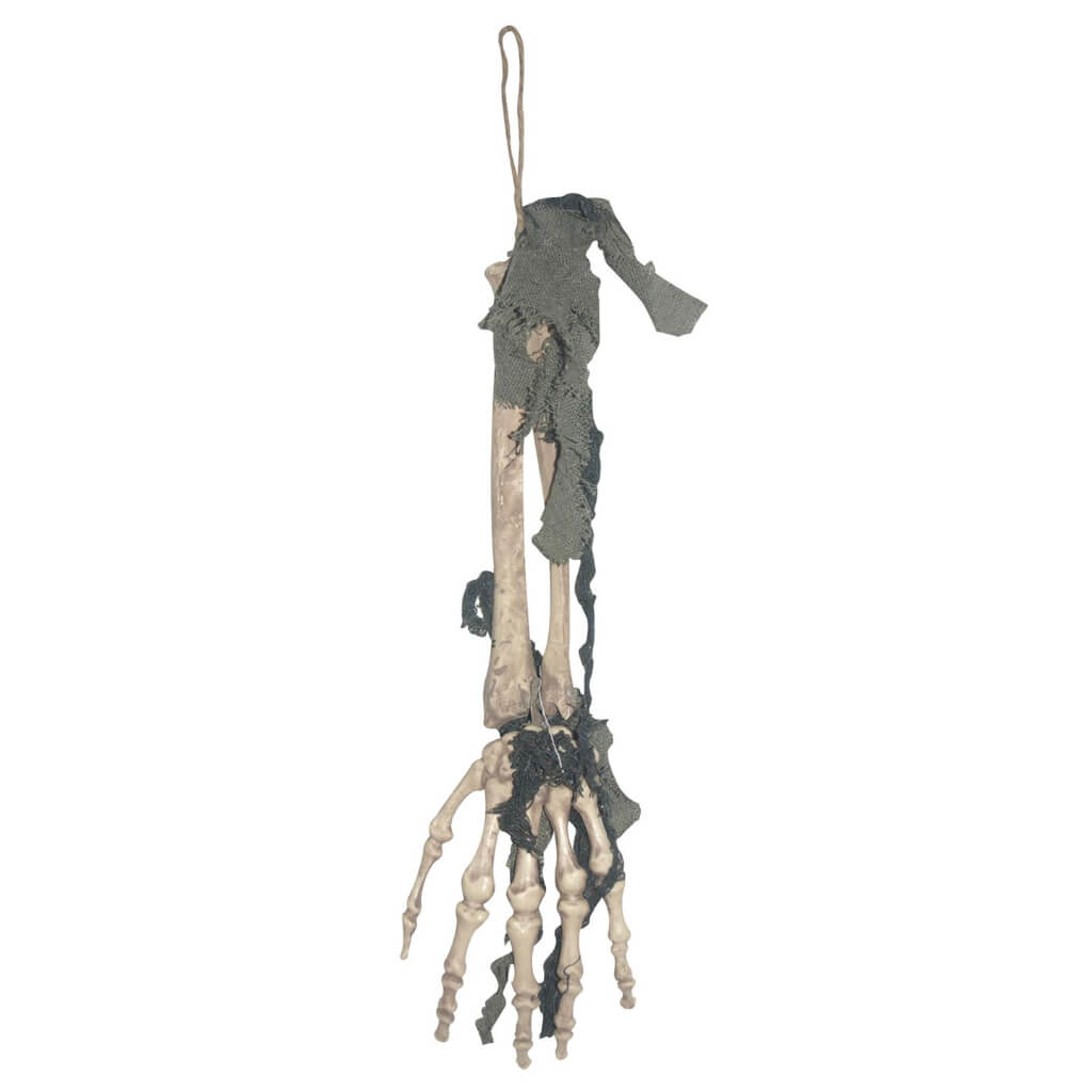 Skeleton Hand with Arm