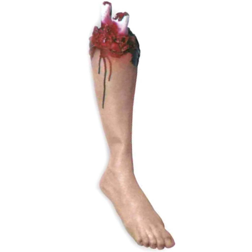 Body Parts  Leg