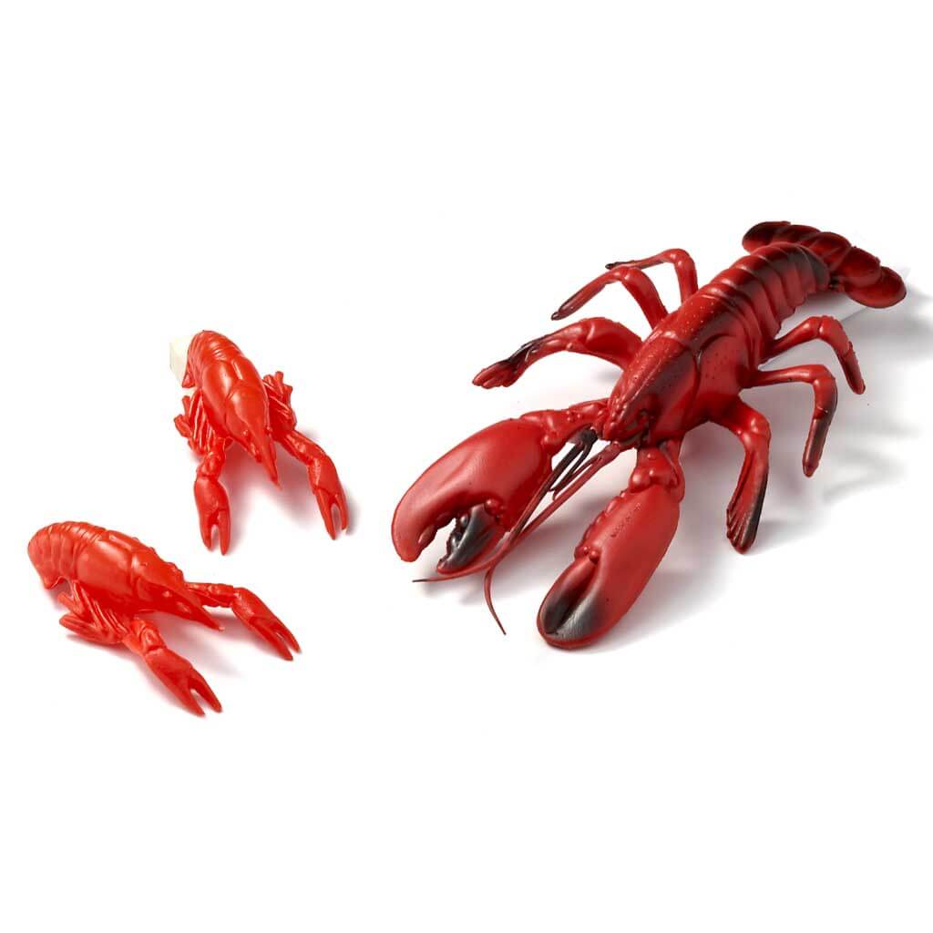 Lobsters Small