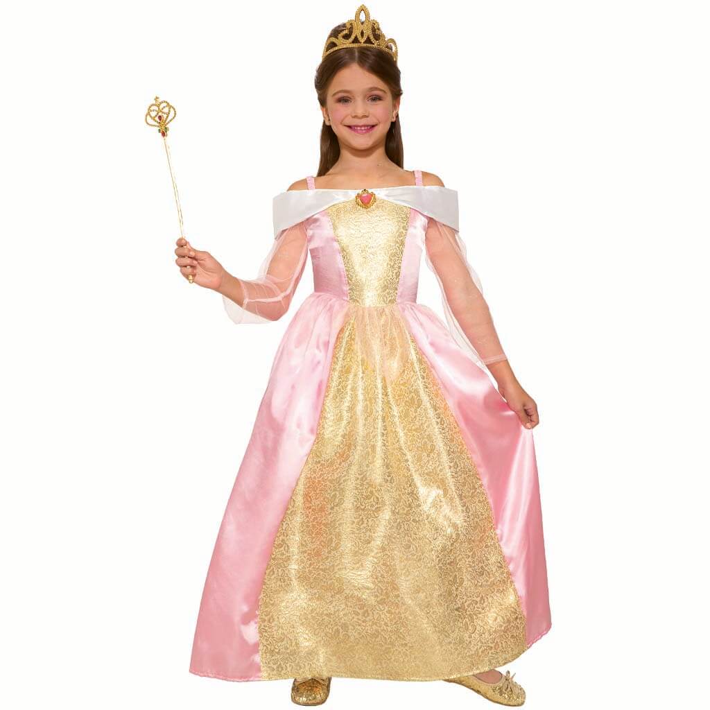 Princess Paisley Rose Costume