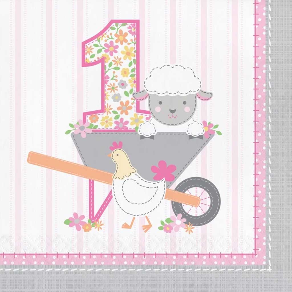 Farmhouse Birthday Luncheon Napkins 1st Bday 2ply 16ct