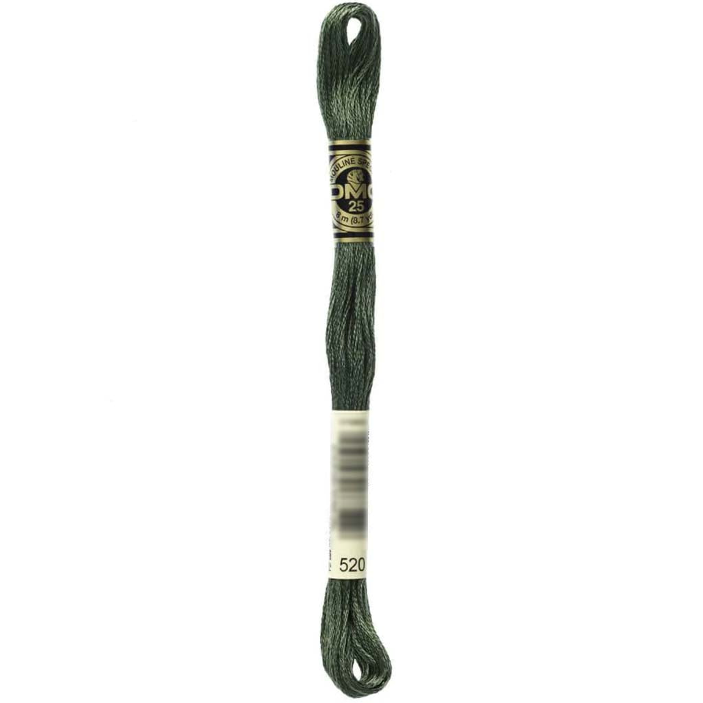 Dmc Floss Dark Fern Green Green 