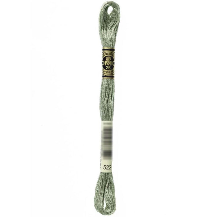 Dmc Floss Fern Green Green 