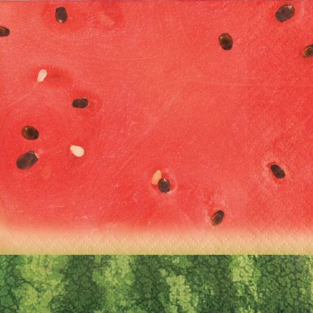 Watermelon Picnic Beverage Napkins 2ply 16ct