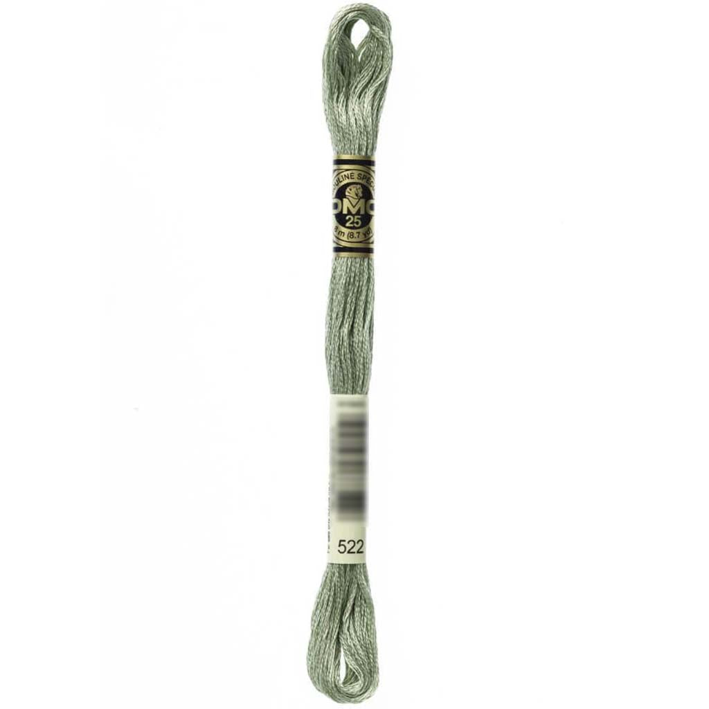 Dmc Floss Fern Green Green 