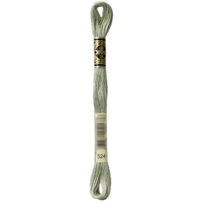 Dmc Floss Very Light Fern Green Green 