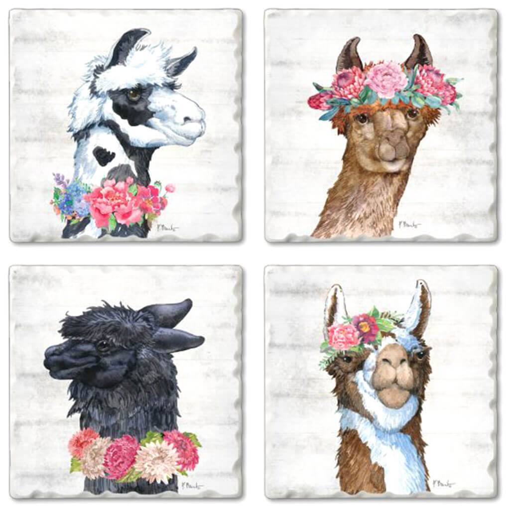 Coaster Set Llama Bloom 4pc Assorted