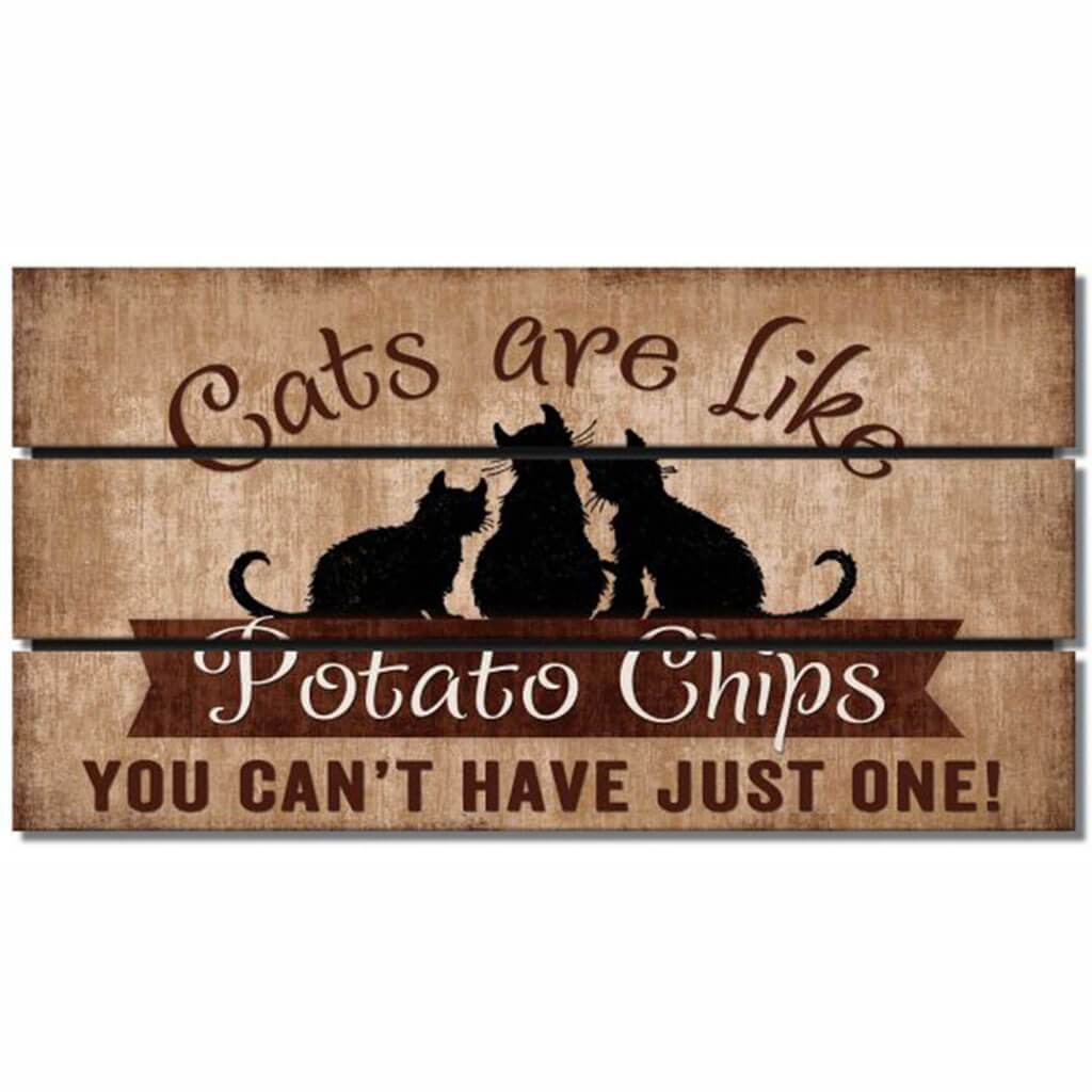 Cats Pallet Magnet