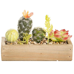 Cactus in Rectangle Pot, Magenta