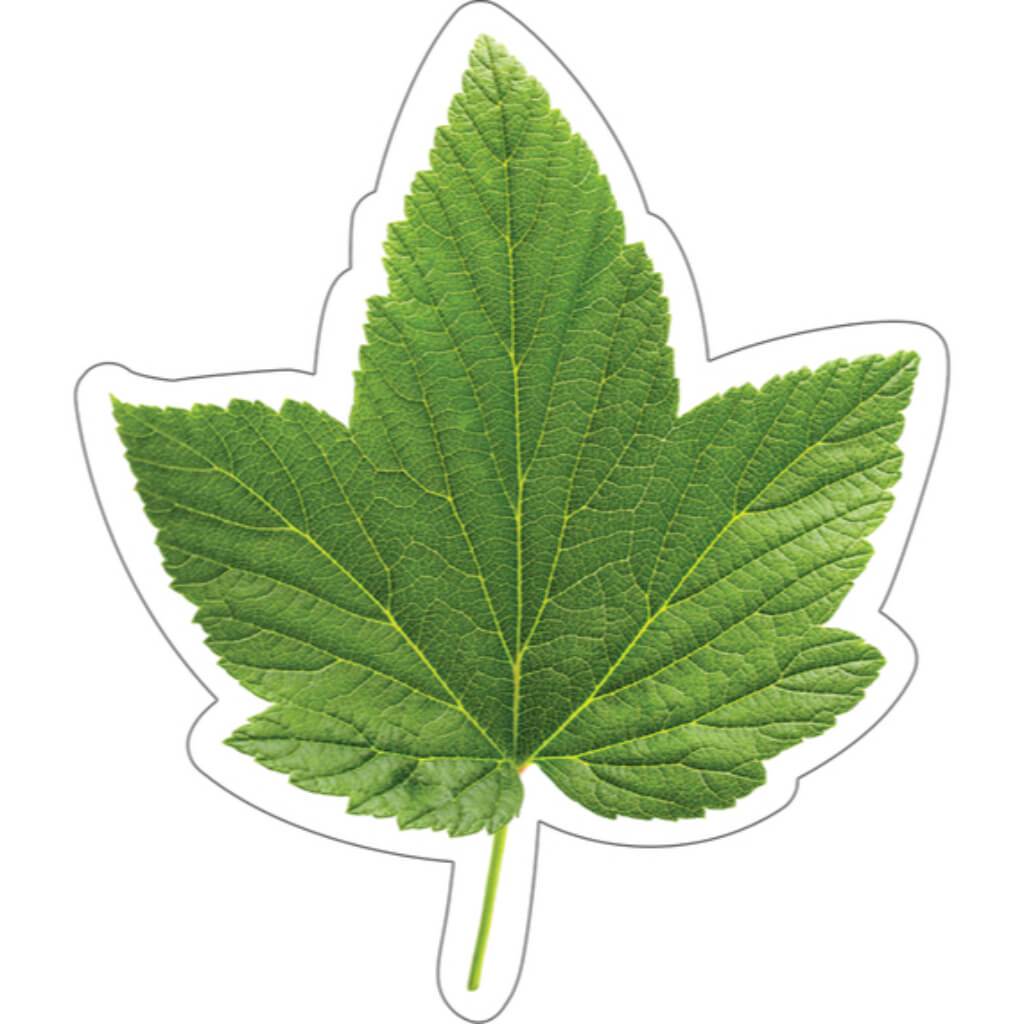 Woodland Whimsey Green Leaf Colorful Cut-Outs